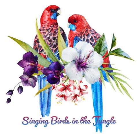 Singing Birds In The Jungle Tropical Nature Sounds And Exotic Mood Music