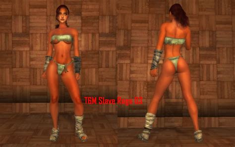 T6M Equipment Replacer NV At Fallout New Vegas Mods And Community