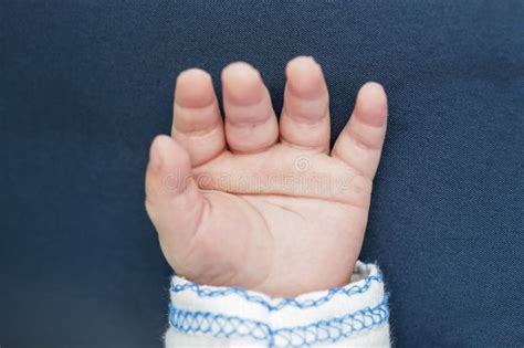 Smof Newborn Baby Infant Fingers And Palm Little Baby Hand On Blue