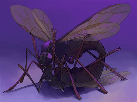 Rule 34 Ant Arthropod Drone Feral Hi Res Hymenopteran Insect Insects Male Malemale Purple