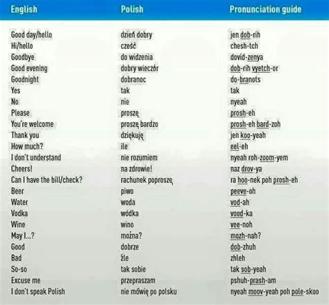 Polish And German Language