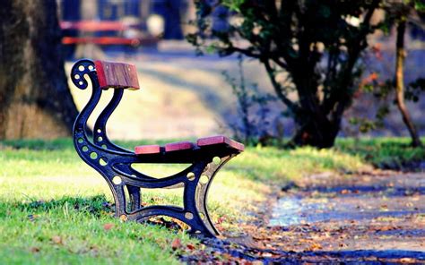 Bench Park Leaves City Hd Wallpaper Peakpx