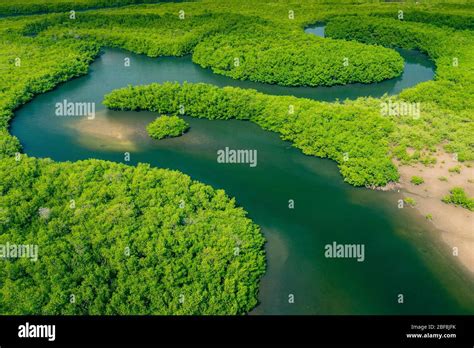 Aerial View Of Amazon Rainforest In Brazil South America Green Forest