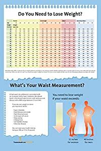 If your bmi is 30.0 or higher, it falls within the obese range. Amazon.com : BMI Chart and Waist Measurement Poster 12"x18 ...