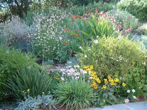 Garden Tip Take Inspiration From California Native Plant Week Marin