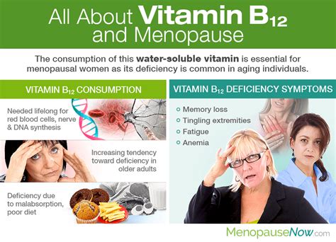 All About Vitamin B12 And Menopause Menopause Now