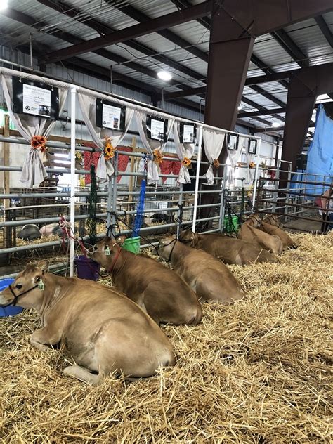 Dairy Heifer Program Participants Showcase Threemile Canyon Farms