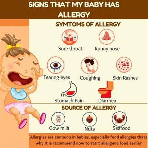 From Breastfeeding To Food Allergy A Parents Guide To Feeding Your