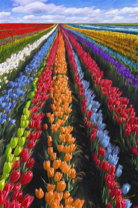 Van vliet bloemenexport always keeps the florists in mind. Holland Tulip Fields. Stripes of color Wanderlust with UD ...