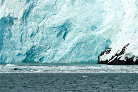 Floating Icebergs Pacific Ocean Aialik Bay Alaska North America Stock