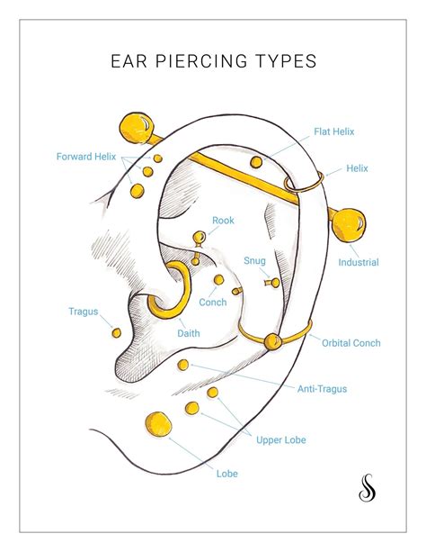 Ear Piercing Chart Ubicaciondepersonascdmxgobmx