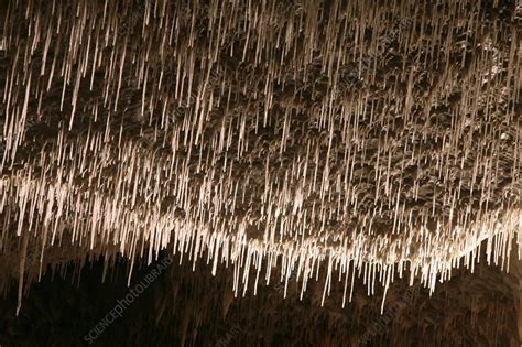 Limestone Cave Formations Stock Image C0155599 Science Photo Library