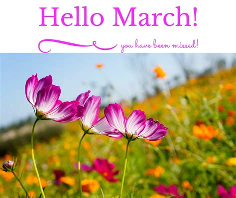 Hello March Images Pictures Photos Wallpapers For Facebook Tumblr