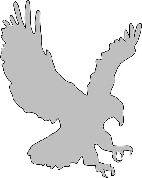 Download Bald Eagle Eagle Bird Of Prey Royalty Free Vector Graphic