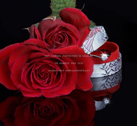 Romantic Love Flowers Wallpapers Top Những Hình Ảnh Đẹp