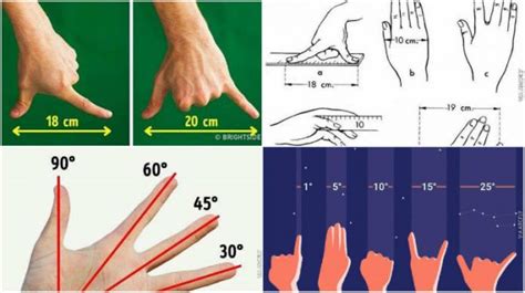 Measure Everything Only With Your Hands Engineering Feed