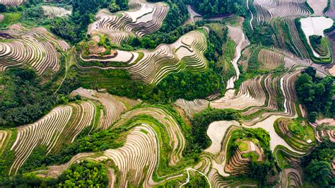 Live Explore The Splendid Longji Rice Terraces In Chinas Guilin Cgtn