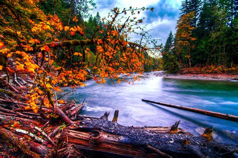 Snoqualmie River Washington River Forest Autumn Landscape