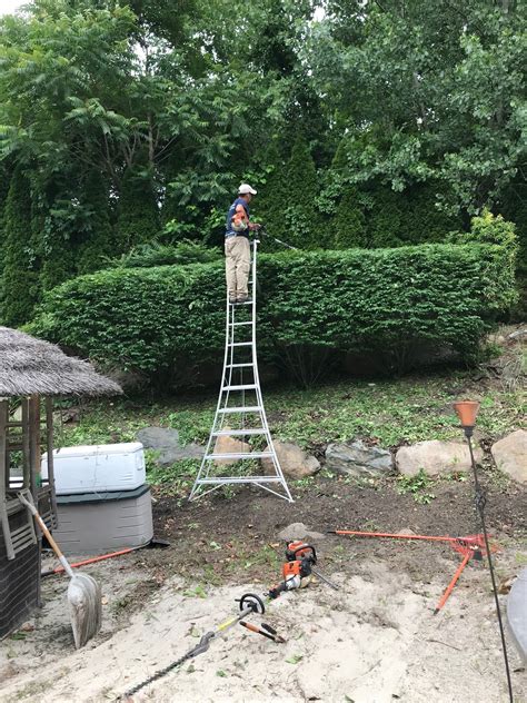 Maybe you would like to learn more about one of these? Photo Gallery for Lawn Care Pros - Serving Coventry ...