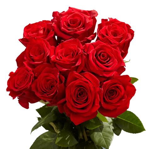 Red Roses Next Day Delivery 100 Fresh Flowers Fresh Cut Format Rose Flowers