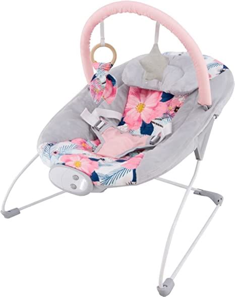 Ladida My First Baby Bouncer With Soothing Music And Vibration