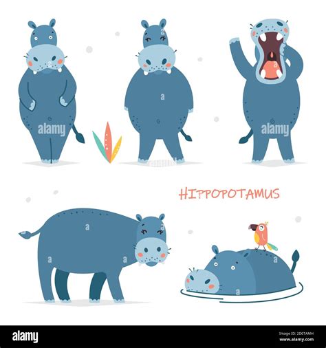 Set Of Vector Illustrations Of Isolated Cartoon Characters Cute Hippo