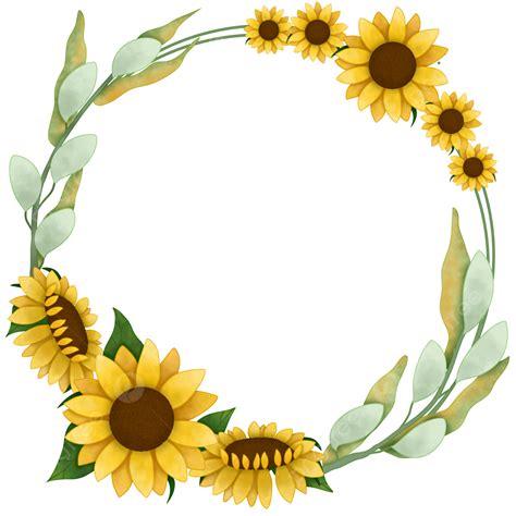 Sunflower Circle PNG Image Watercolor Sunflower Circle Frame