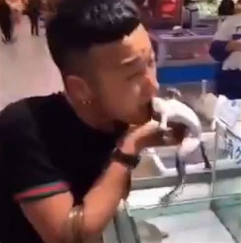 Gruesome Video Shows Man Ferociously Biting Head Off Live Frog Before