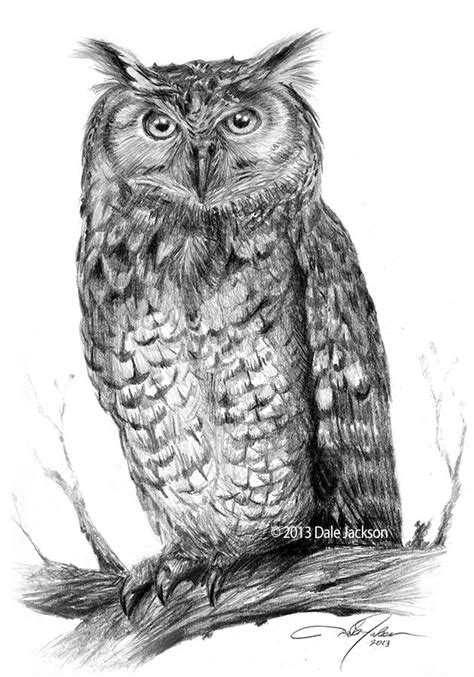 Eagle Owl Drawing On Behance