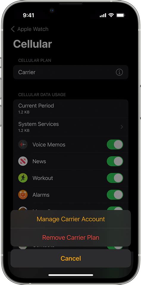 Set Up Cellular On Apple Watch Apple Support