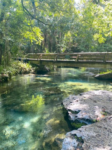 tips for kelly park rock springs the perfect florida oasis florida trippers in 2021 kelly