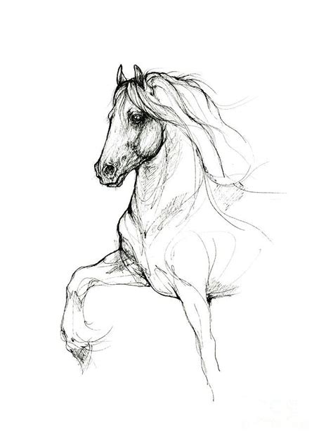 Horse Drawing Friesian Horse 2019 09 12 By Angel Ciesniarska Horse