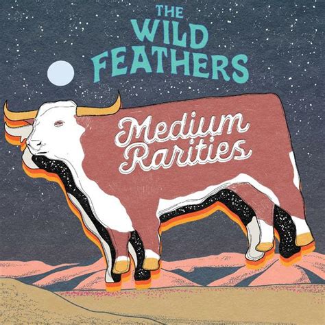Medium Rarities The Wild Feathers Lp Køb Vinyllp Vinylpladendk