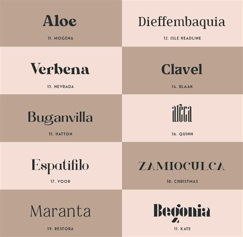 40 Tipografías Serif Gratuitas Mlc Estudio Inspiración Y Diseño