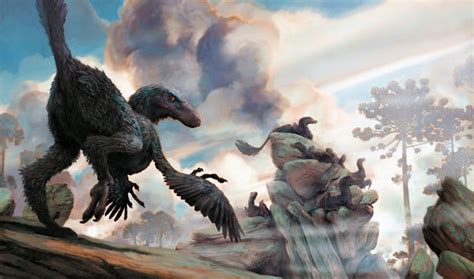 How Birds Evolved From Dinosaurs Scientific American