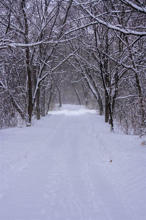 Snowy Trail Down The Hill Stock Photo Image Of Clean 106485670