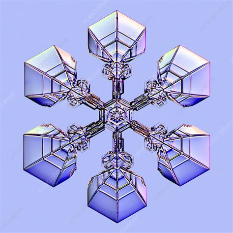 Snowflake Light Micrograph Stock Image C0255930 Science Photo