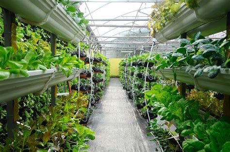 Best Vertical Garden Ideas Planters Diy Kits Designing Idea