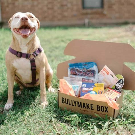Happy birthday gift box dog toy. 12 Best Pet Subscription Boxes (Dog Toys, Treats, Pet Toys ...