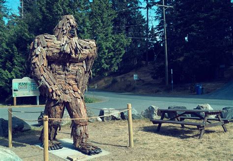 Sasquatch Sighted In East Sooke Greater Victoria News