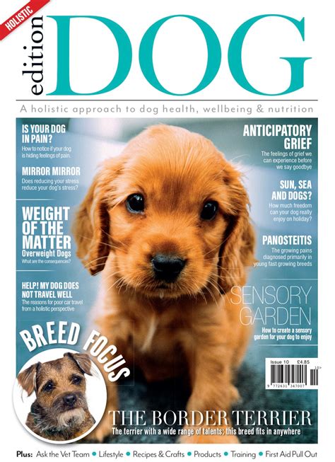 Issue 10 Edition Dog Magazine