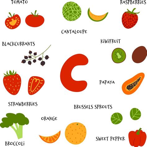 Collection Of Hand Draw Fruit And Veggies Rich In Vitamin C Vector