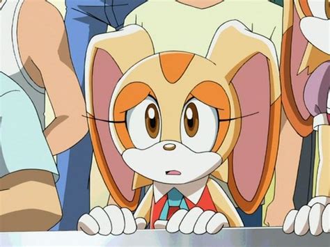 She also has one long eyelash on each eye, and a short, fluffy tail that sticks out of her dress, though it is not always visible. Cream the Rabbit | Sonic X | Cream the Rabbit - クリーム · ザ ...