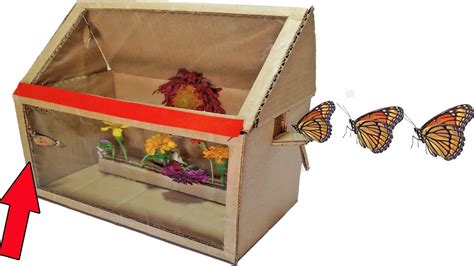 The video shows the process and materials that come together to. How To Build A Butterfly Enclosure