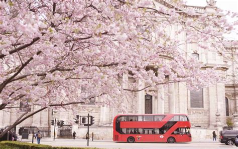 Where To See The Earliest Spring Blooms In London London Perfect