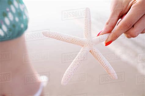 Woman Holding Starfish At The Beach Stock Photo Dissolve