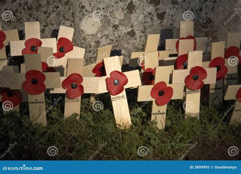 Remembrance Day Stock Image Image Of Crosses Poppy Graveyard 3899991