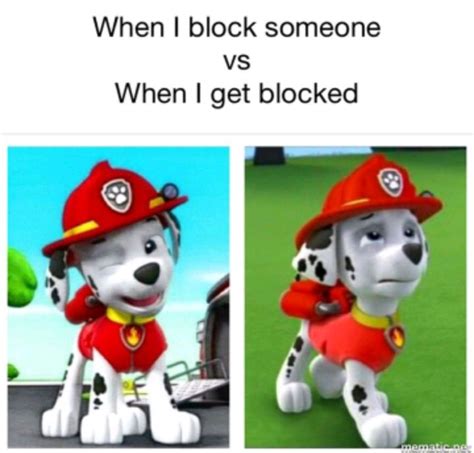 Paw Patrol Memes And Funny Pictures Wattpad 43344 Hot Sex Picture