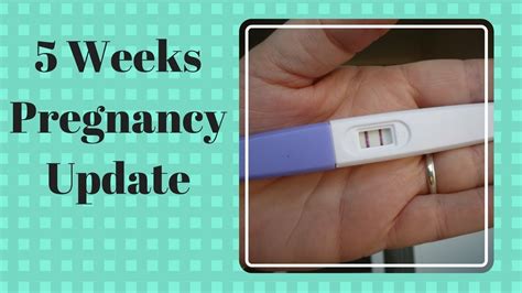 Im Pregnant 5 Weeks Update Positive Pregnancy Test Youtube