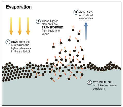 Evaporation Evaporation Crude Oil Crude